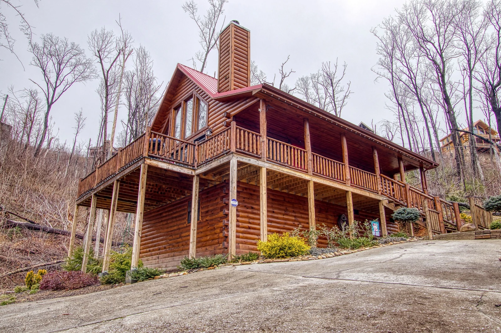 Christmas Bear