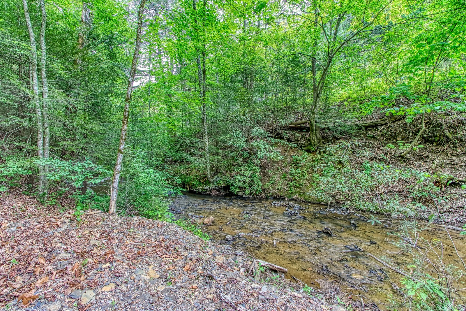 The Creek House