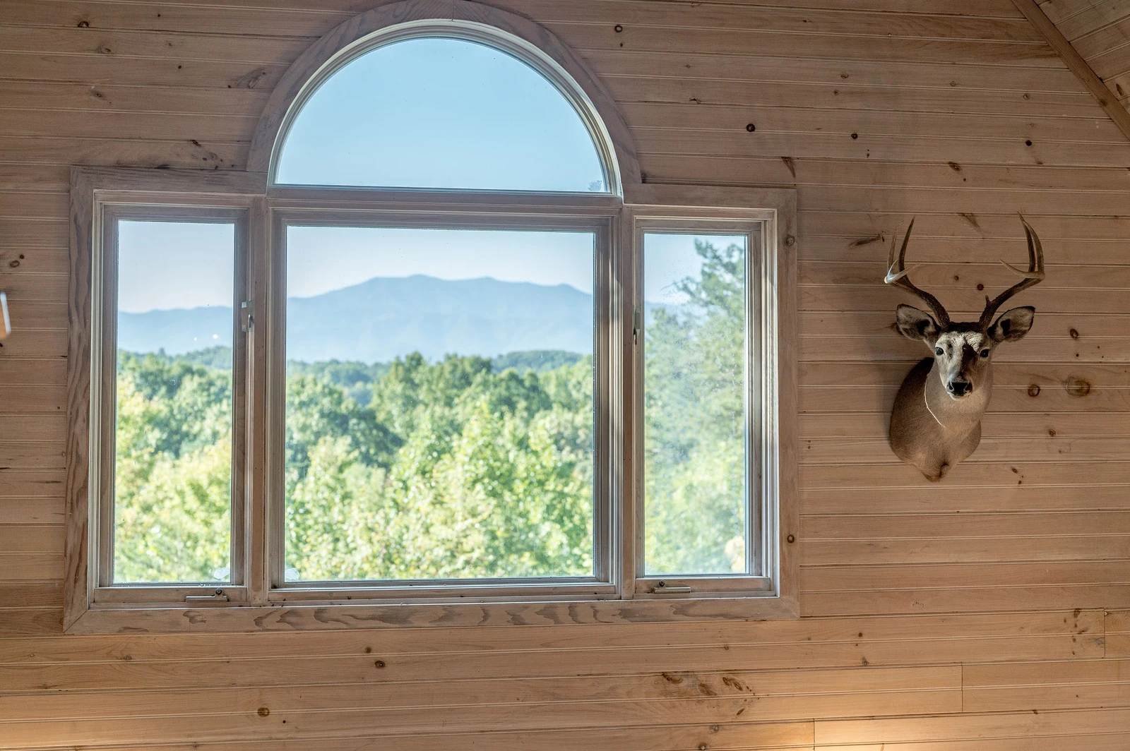 Property image, Interior, of Sunshine Cabin