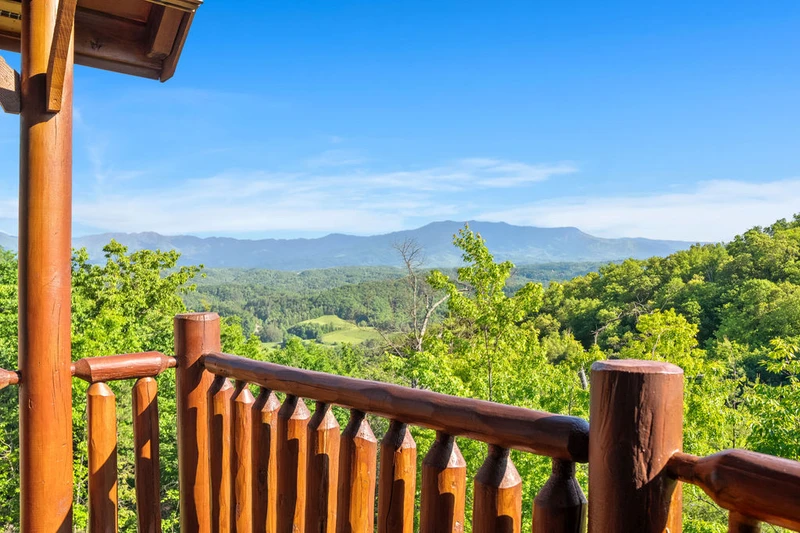 A View of Paradise