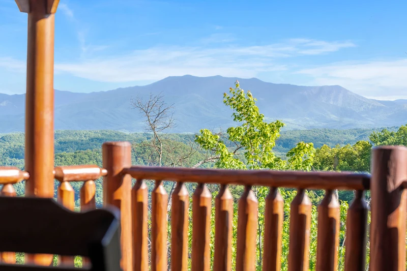 A View of Paradise