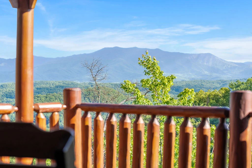 A View of Paradise