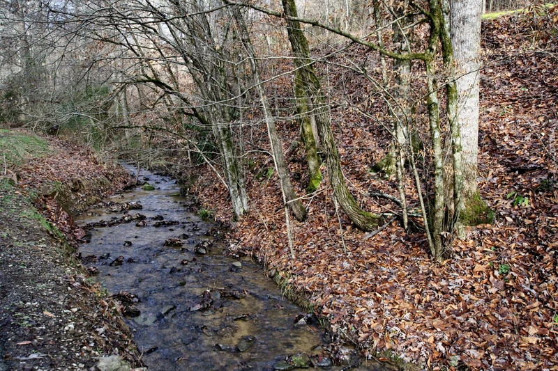 Property image, Exterior, of Cub Creek