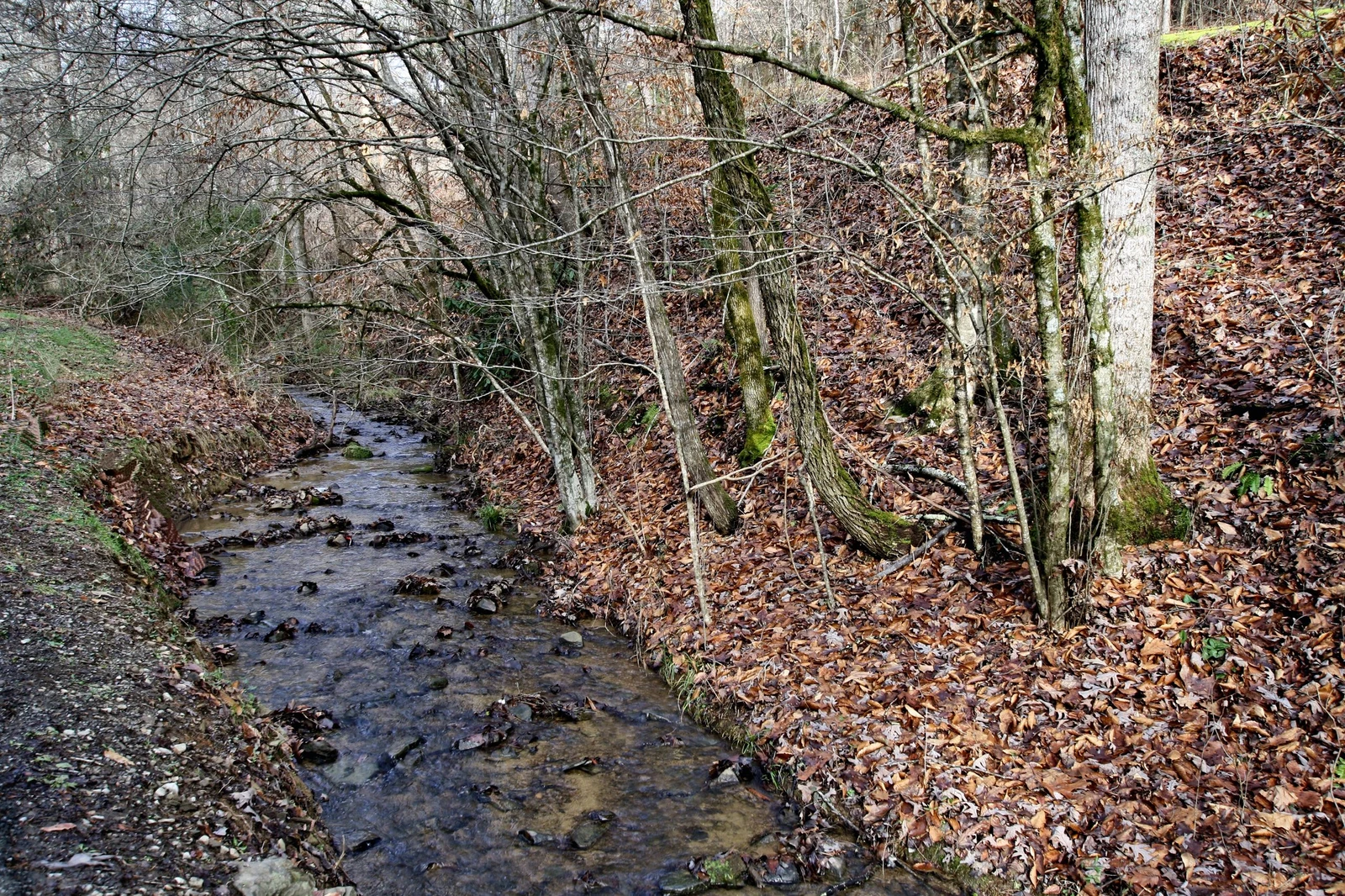 Property image, Exterior, of Cub Creek