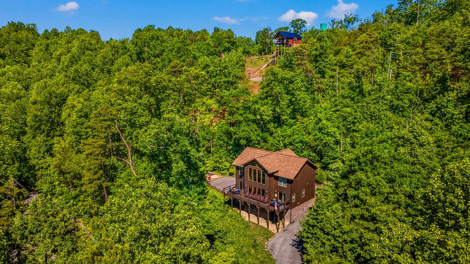 A Tree Top View