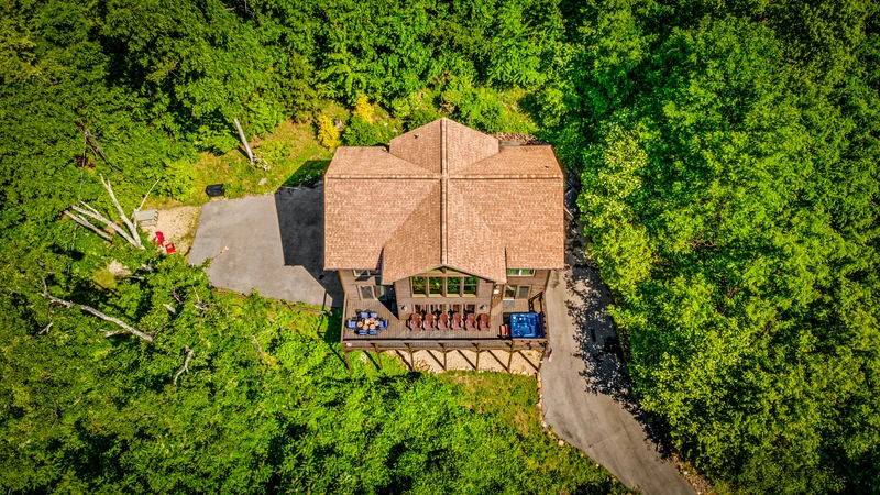 A Tree Top View