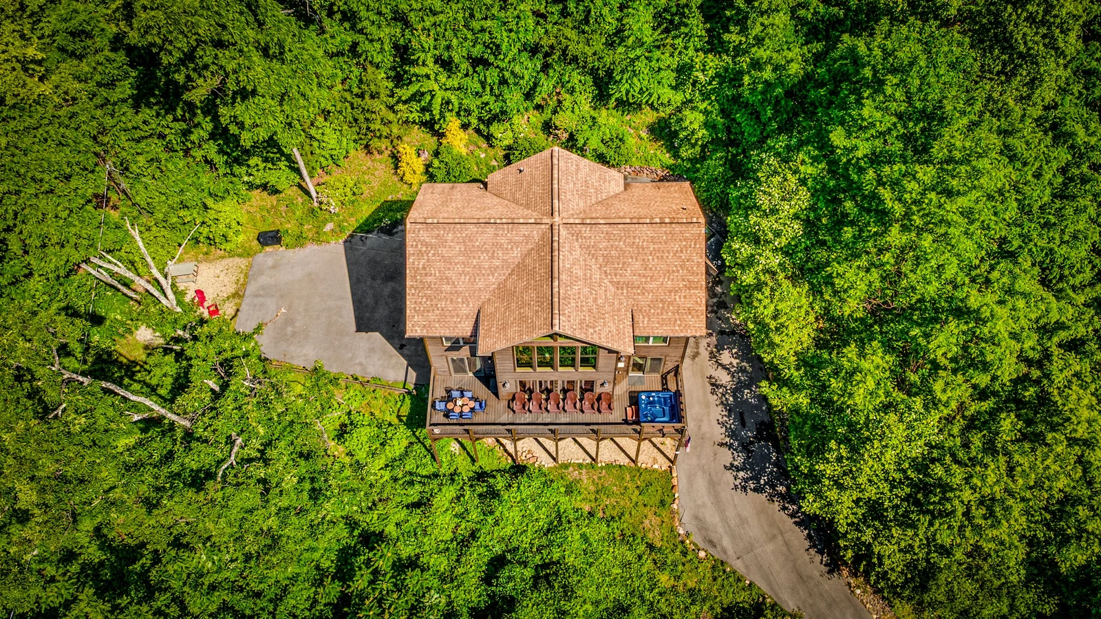 A Tree Top View