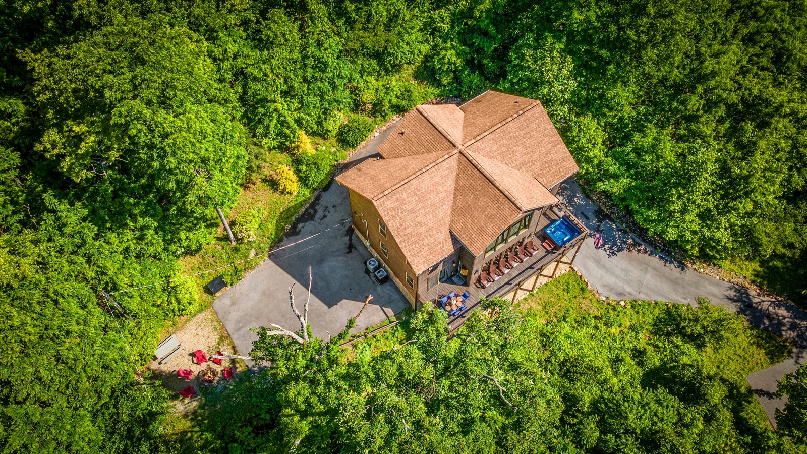A Tree Top View