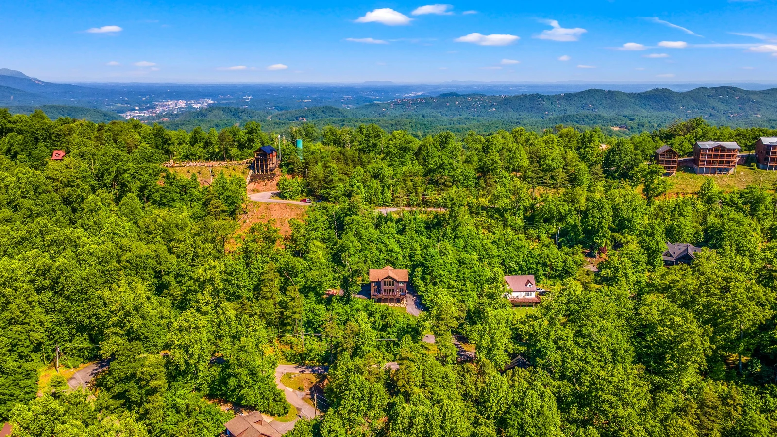 A Tree Top View