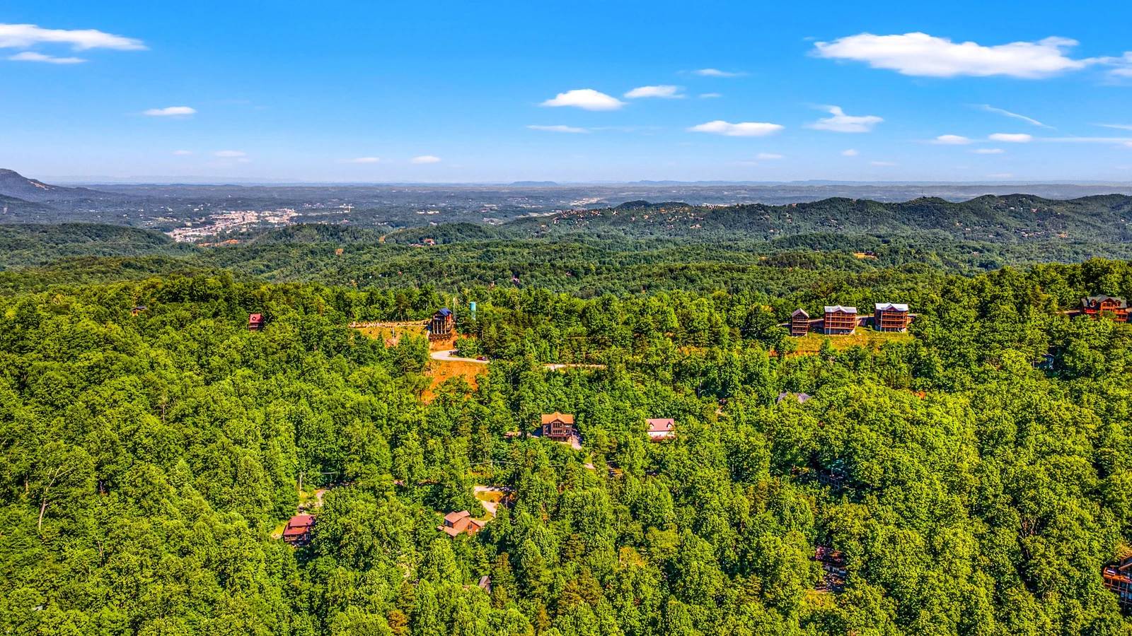 A Tree Top View