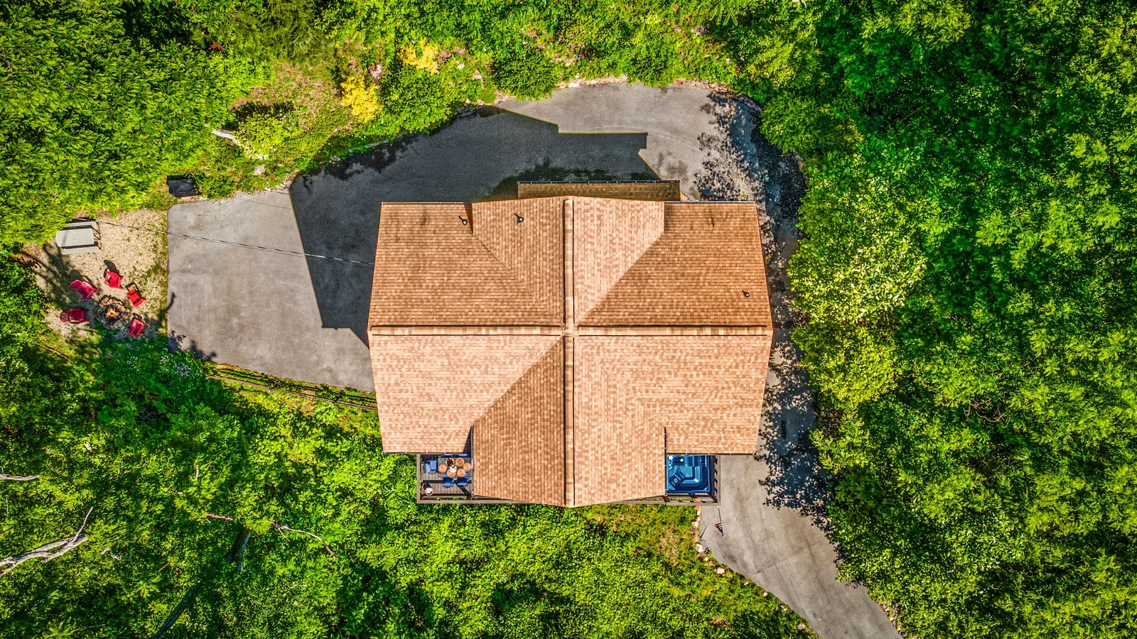 A Tree Top View