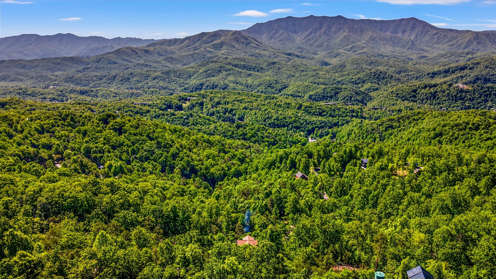 A Tree Top View