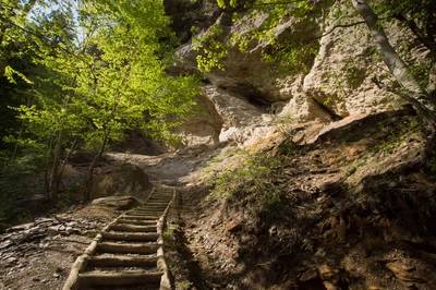 alum cave trail on Smoky Mountain family vacation