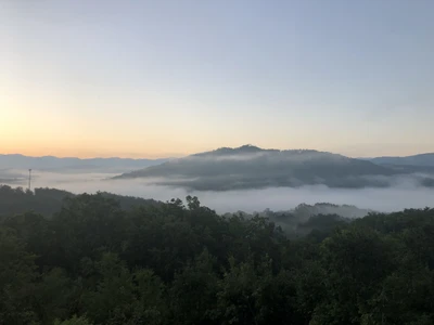 Summer Sunrise