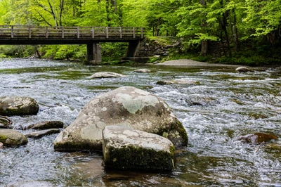 metcalf bottoms is one of the picnic areas in the Smoky Mountains