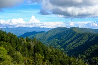 pretty smokies