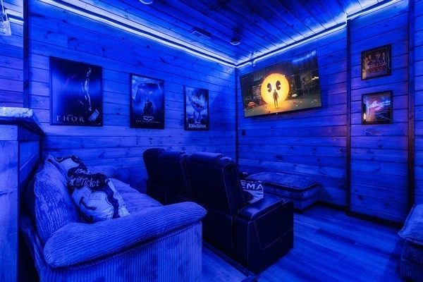 Theatre for family movie night