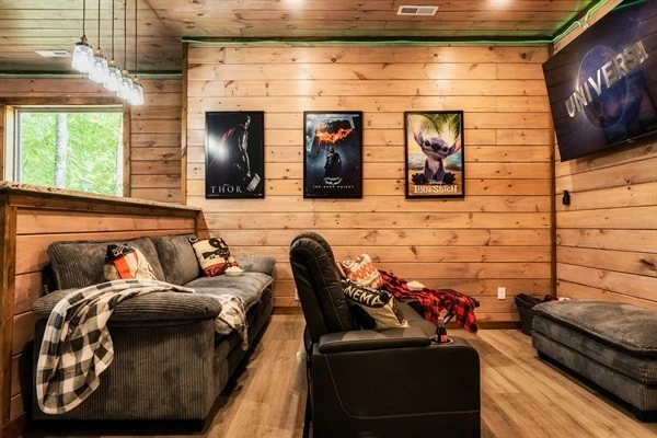 Theatre for family movie night