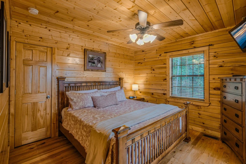 Second bedroom on lower level with king bed, TV and private access to lower deck