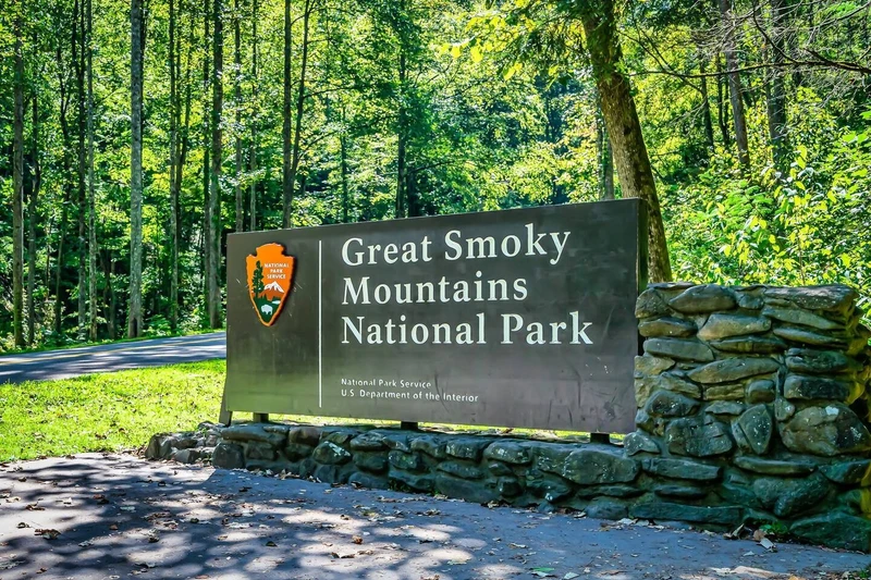 Embark on a scenic hike and experience the breathtaking beauty of Great Smoky Mountains National Park!