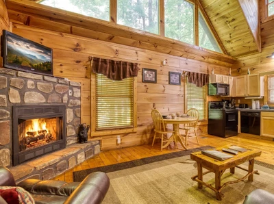 Gas Fireplace Pigeon Forge Cabin Rental