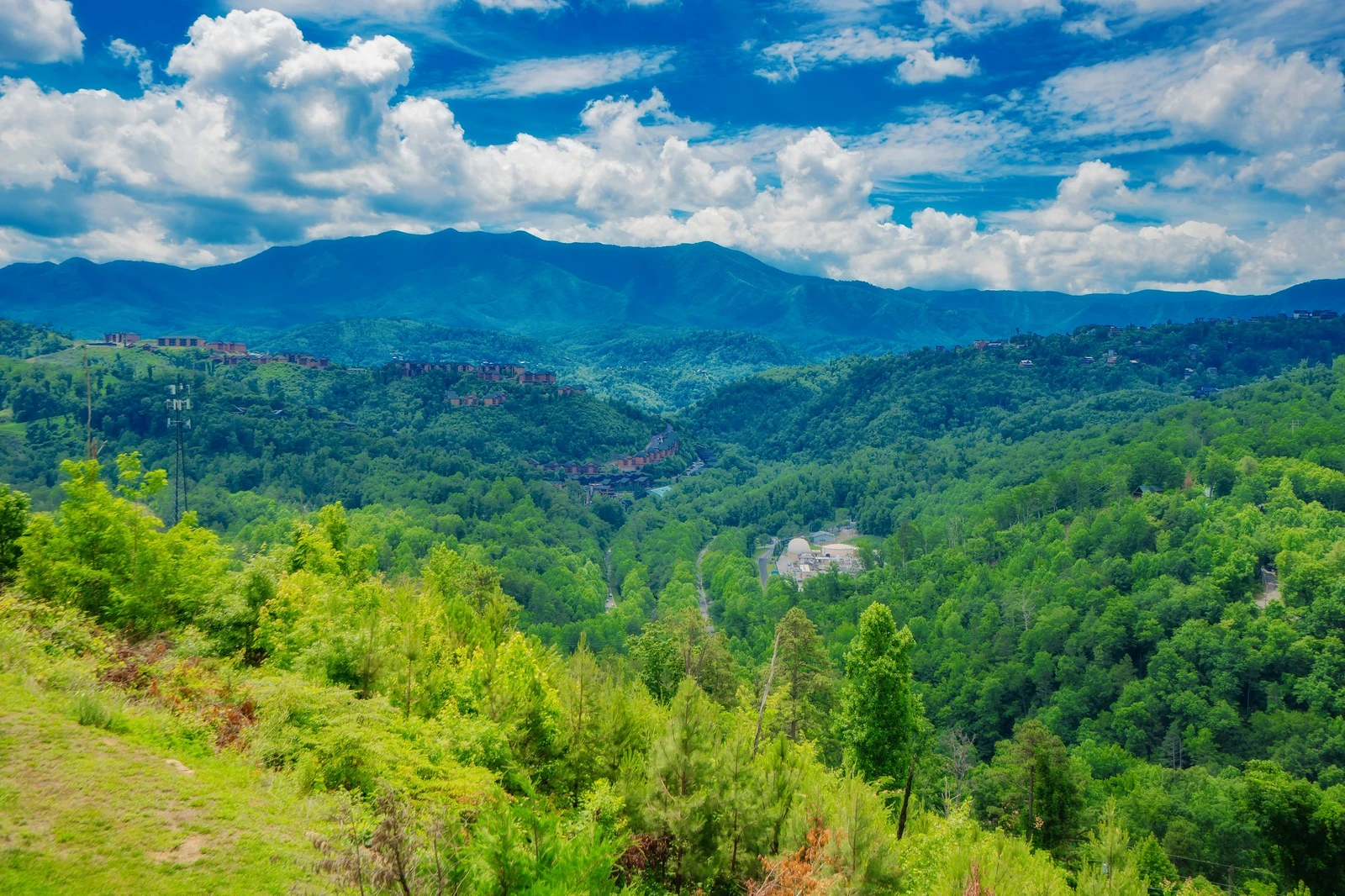 Mountain Top LeConte