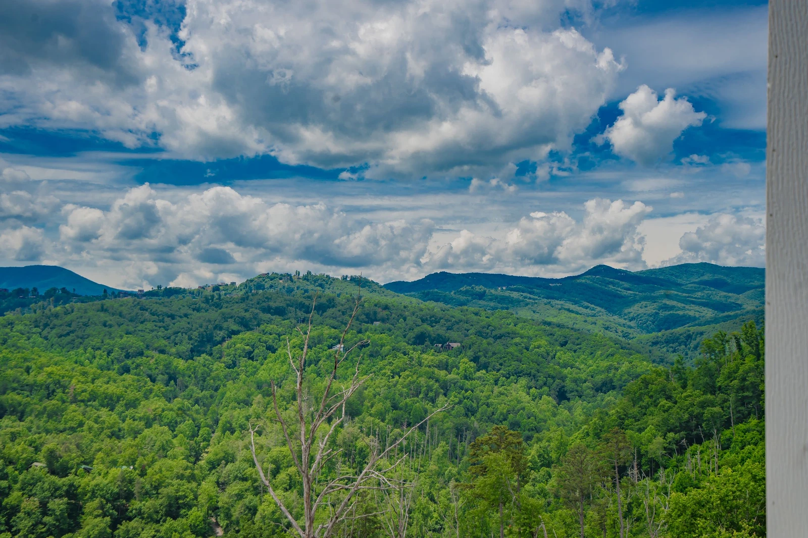 Mountain Top LeConte