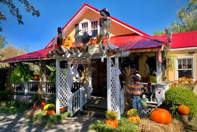 Smoky Mountain Cat House is one of the best Pigeon Forge things to do