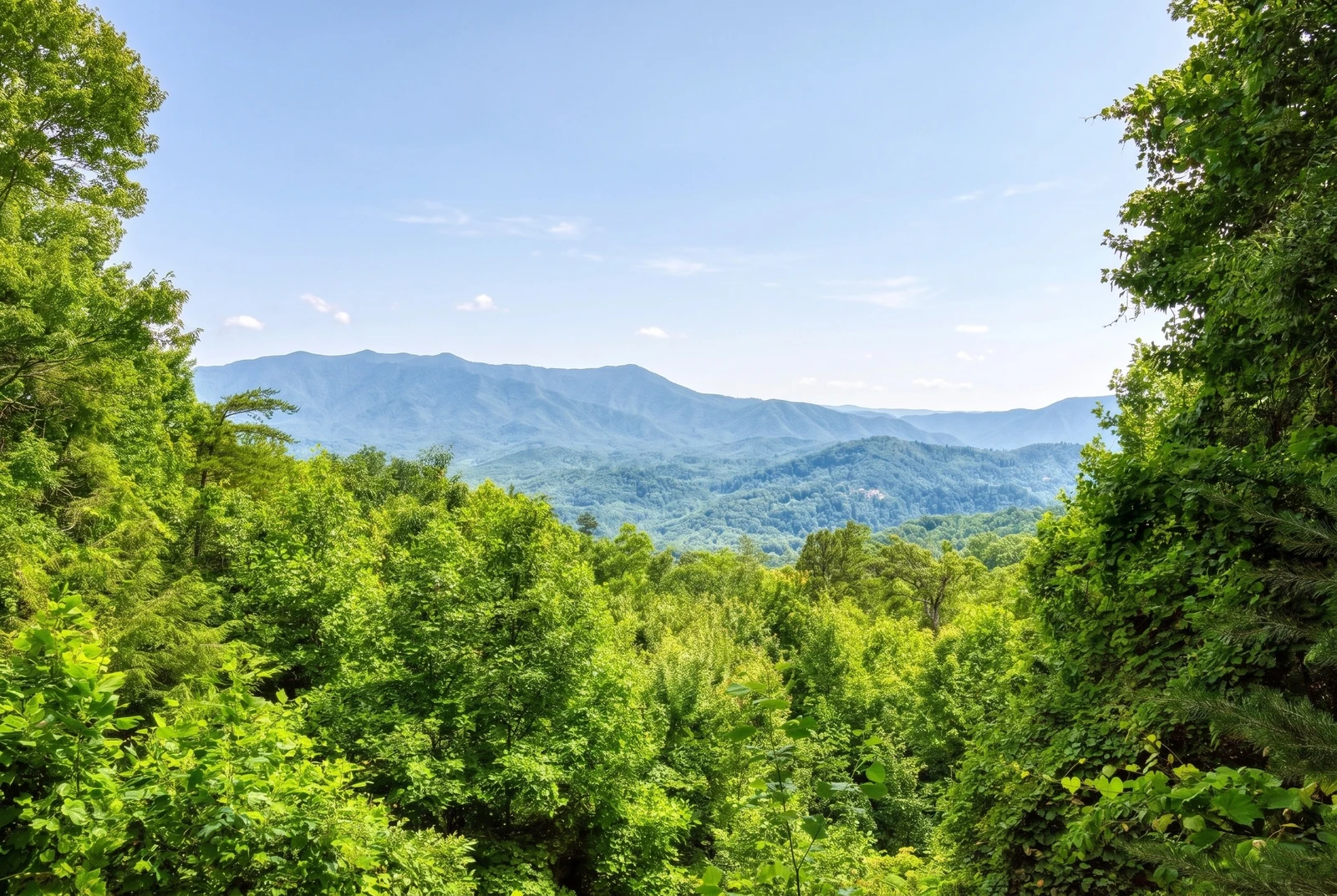 Peak  A  View