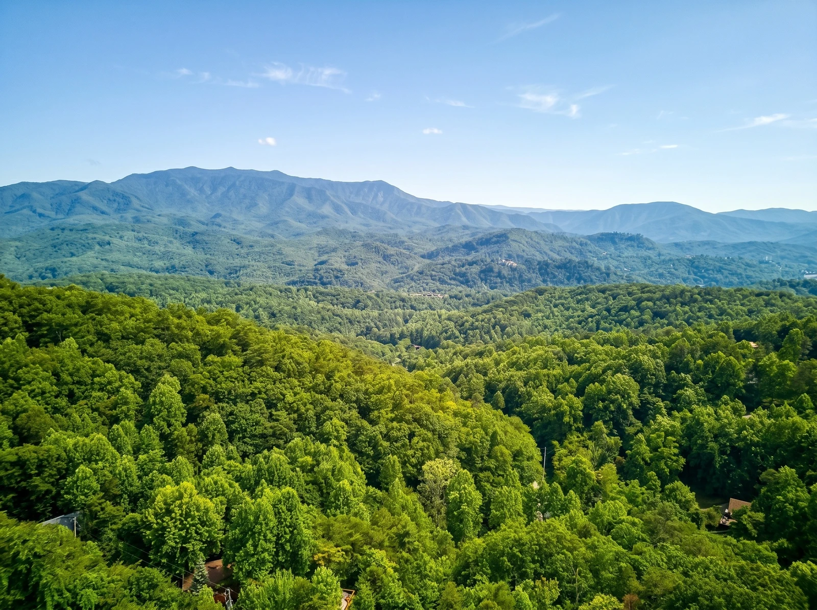 Peak  A  View