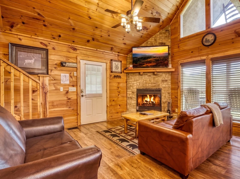 Bearadise Mountain Lodge living room