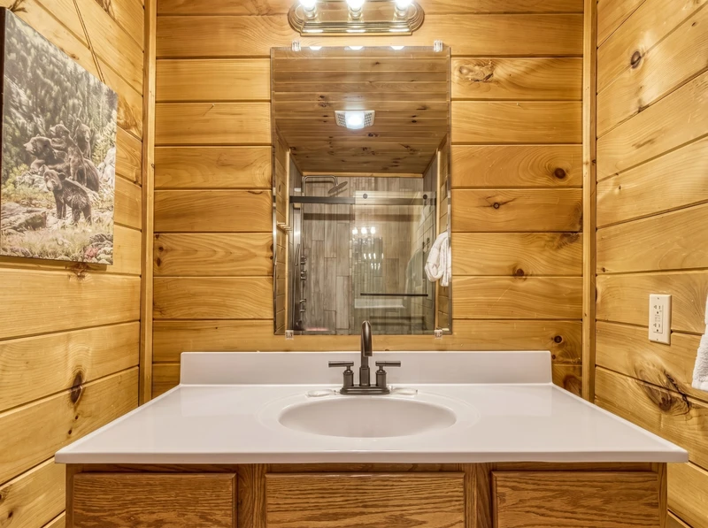 Bearadise Mountain Lodge main level bathroom with single vanity