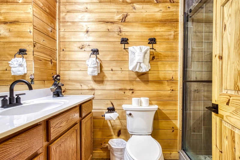 Bearadise Mountain Lodge bottom level bathroom with walk in shower
