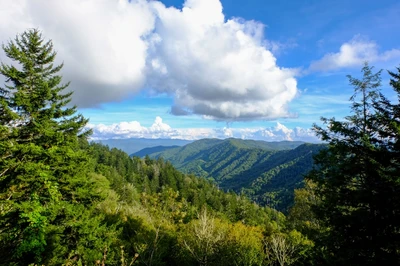 pretty weather for the smoky mountains