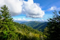 pretty weather for the smoky mountains