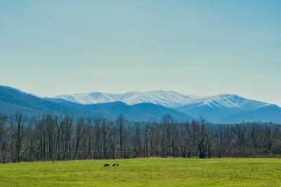 weather for the smoky mountains in cades cove