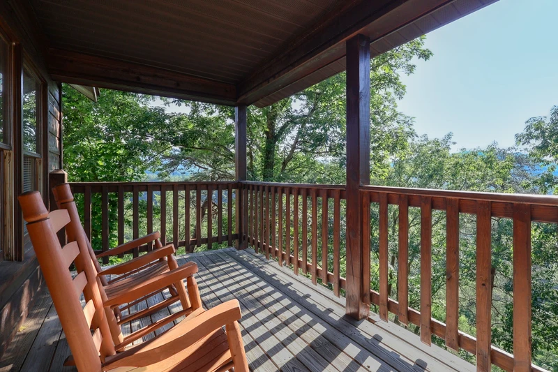 ABOVE THE TREE TOPS