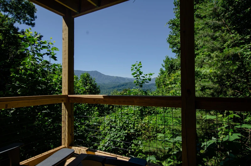 Peak  A  View