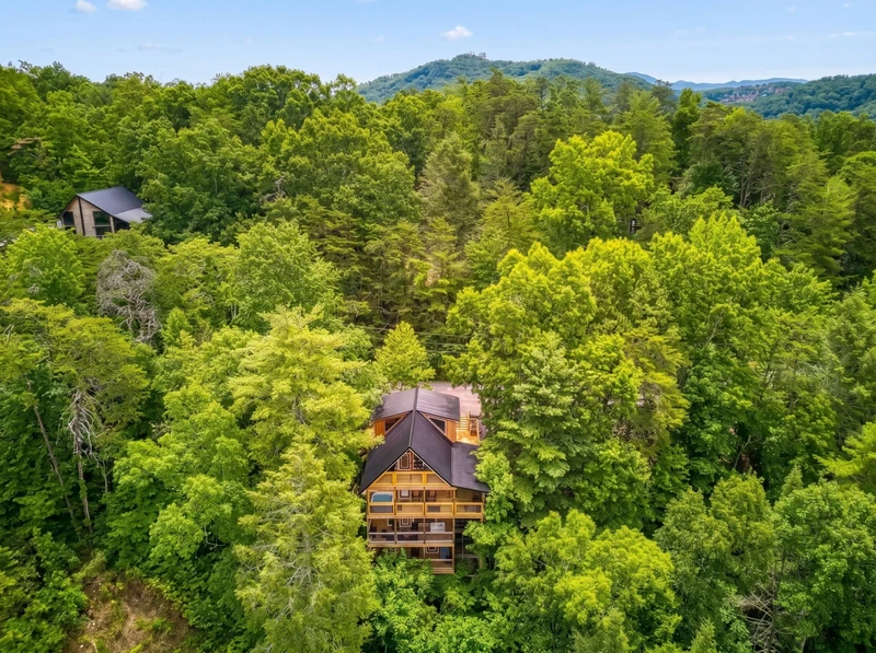 Bearadise Mountain Lodge is located in the Great Smoky Mountains