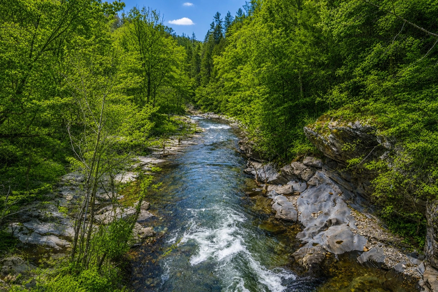 River Romp