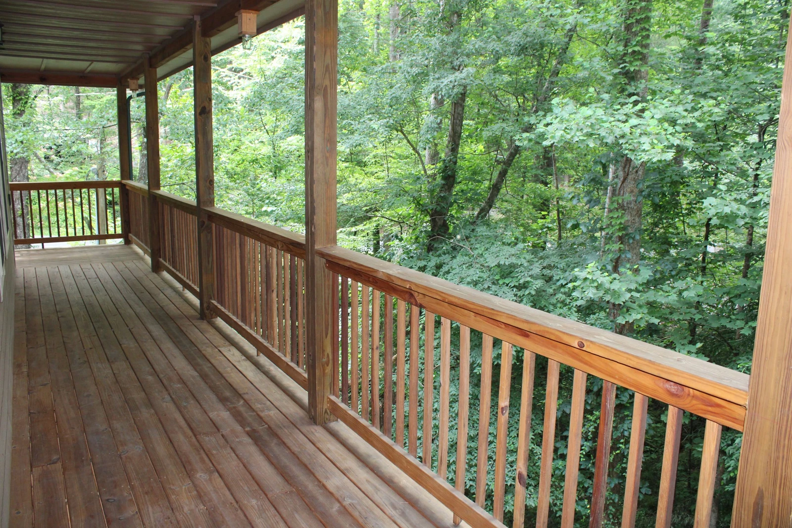 Woodness Gracious