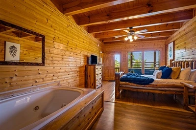 Smoky Mountain Bearadise