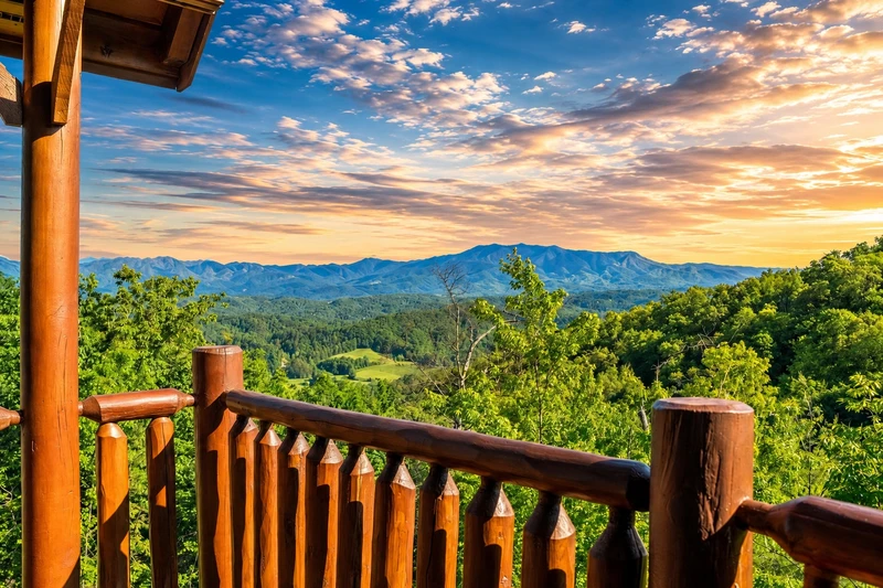 A View of Paradise