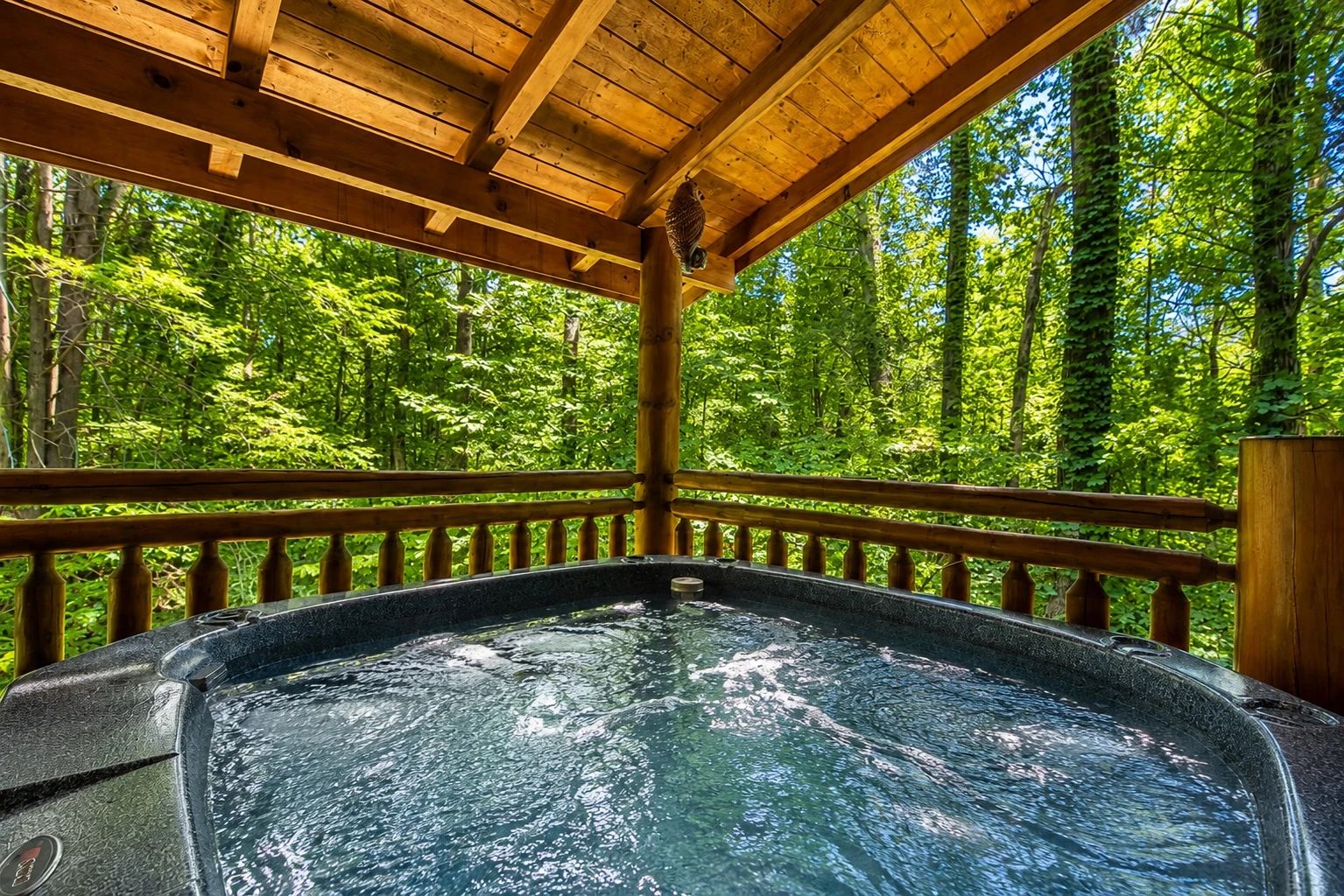 Tennessee Treasure