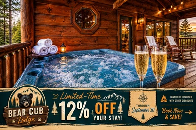 Bear Cub Lodge