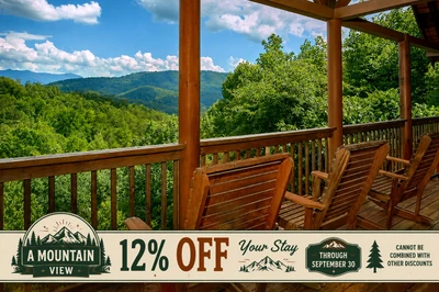 A Mountain View Theater Lodge