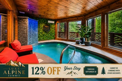 Luxe Alpine Summit Pool and Spa Cabin