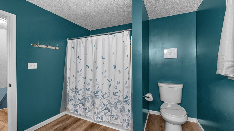 A relaxing tub and shower combo.