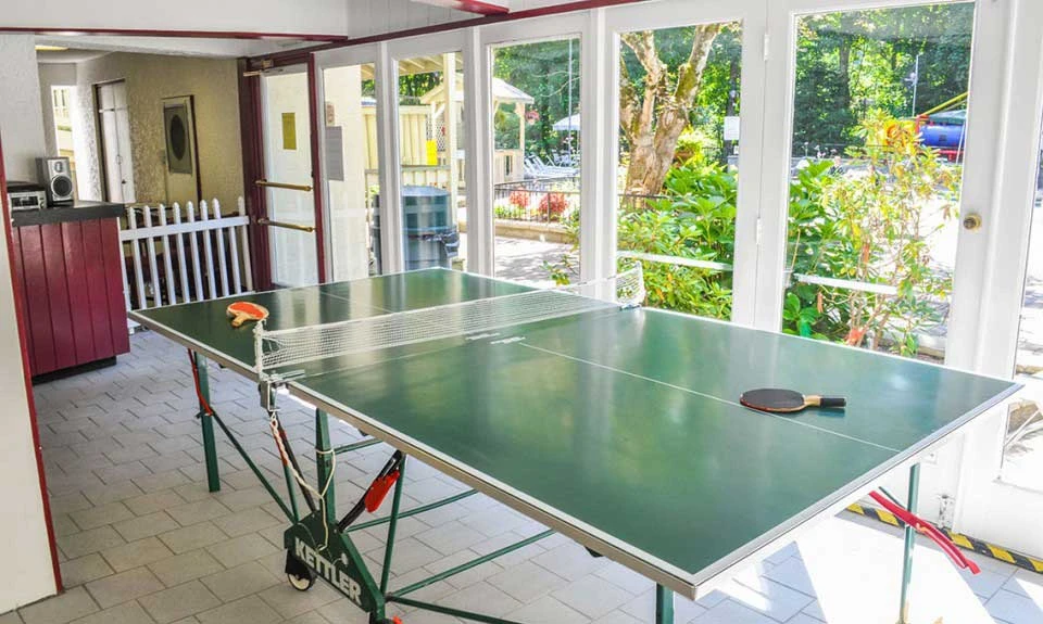 Try you hand at ping pong at the Chalet Village clubhouse.