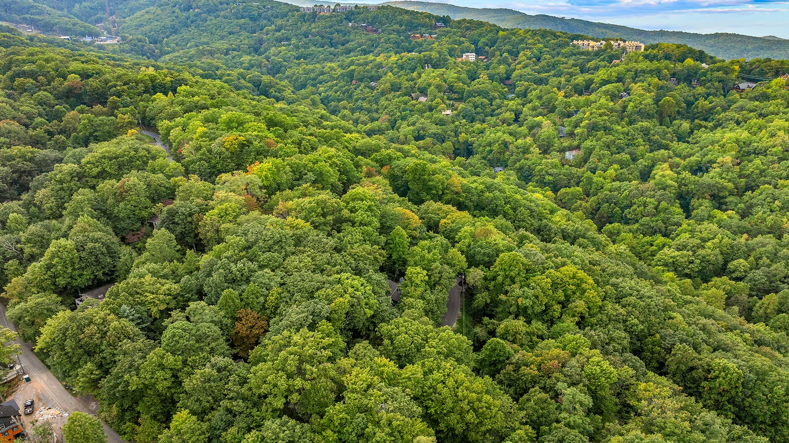 Feel the beauty of nature surrounding your chalet in the Smokies.